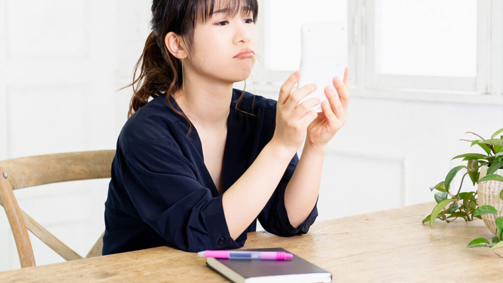 ポータブル電源は値段が高いからいらない