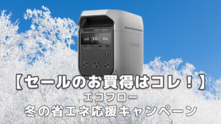 EcoFlow 125W x 2 両面ソーラーパネル 新発売（セールのお買得はコレ 