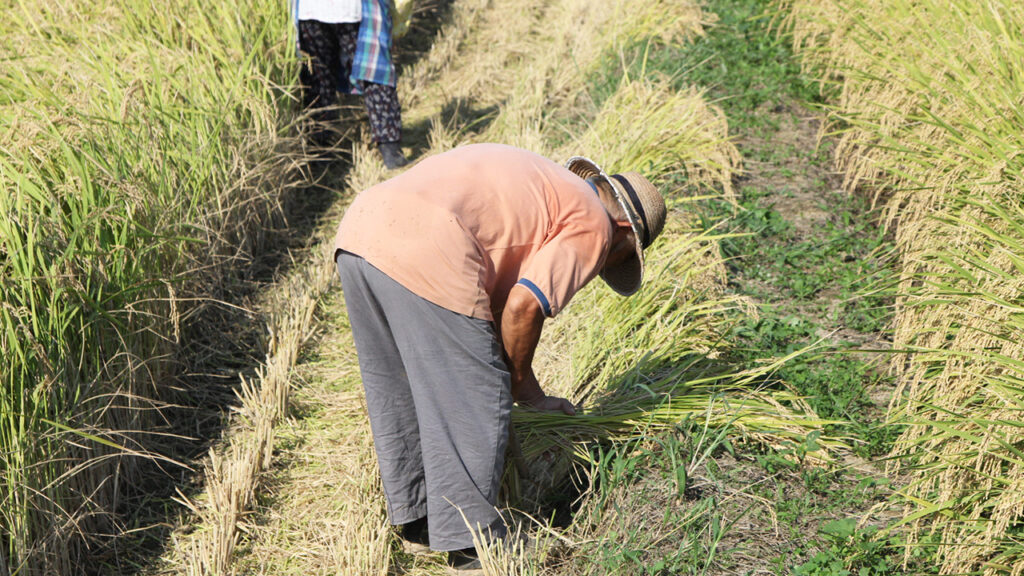 〇農作業でのポータブル電源の選び方とおすすめ
